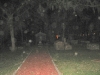 amy-cem_0