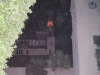amy-orbs-cath-2_0