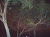 st-augustine-pics-021_0