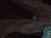 dscn2069