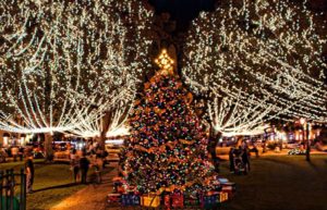 Night turns to day in the downtowntown plaza with Christmas Lights in all of the trees and a Special multicolor tree in the center.